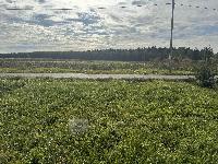 Участок 5.0  соток, Пятовское д.