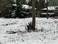 Участок 7.6  соток, Бараново д.