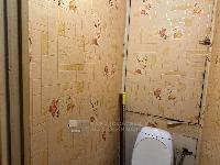 39.0  м2, Москва