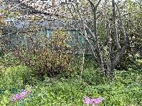 Участок 6.0  соток, Крёкшино д.