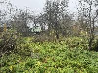 Участок 7.0  соток, Бараново д.