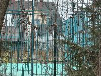 Участок 4.6  соток, Саларьево д.