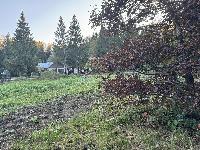 Участок 8.0  соток, Анкудиново д.