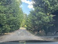 Участок 12.0  соток, Новоглаголево д.