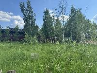 Участок 14.0  соток, Новоглаголево д.