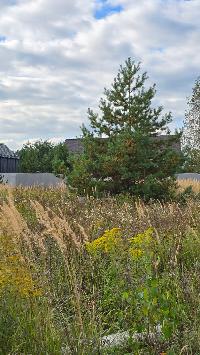 Участок 8.9  соток, Минино д.