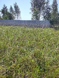 Участок 6.0  соток, Карпово с.