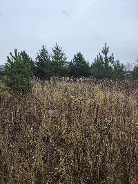 Участок 13.5  соток, Минино д.