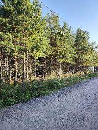 Участок 8.3  соток, Минино д.