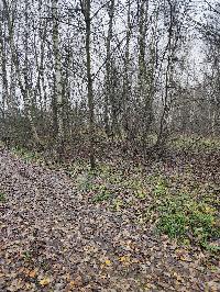 Участок 30.0  соток, Трошково д.