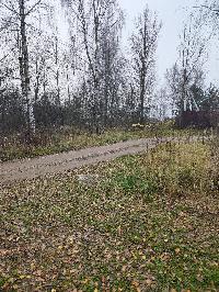 Участок 30.0  соток, Трошково д.