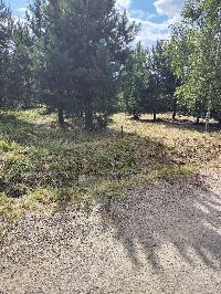 Участок 6.5  соток, Минино д.