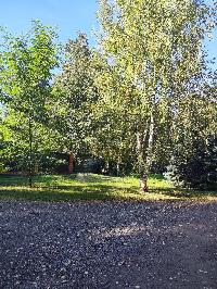 Участок 15.0  соток, Синьково с.