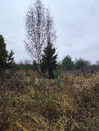 Участок 13.5  соток, Минино д.