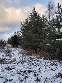 Участок 8.2  соток, Минино д.