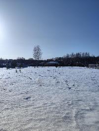 Участок 24.3  соток, ДНТ Обухово тер.