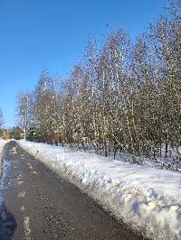 Участок 20.1  соток, ДНТ Обухово тер.
