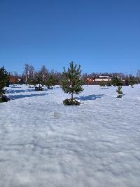 Участок 10.0  соток, ДНП Гжель-2 тер.