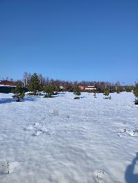 Участок 10.0  соток, ДНП Гжель-2 тер.
