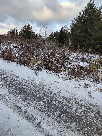 Участок 8.2  соток, Минино д.