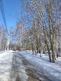 Участок 23.6  соток, ДНТ Обухово тер.