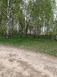 Участок 23.6  соток, ДНТ Обухово тер.