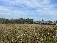 Участок 245.0  соток, Вяземские дачи снт