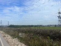 Участок 245.0  соток, Вяземские дачи снт