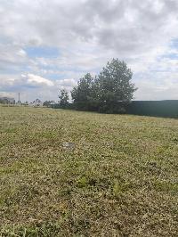 Участок 15.0  соток, Григорово д.