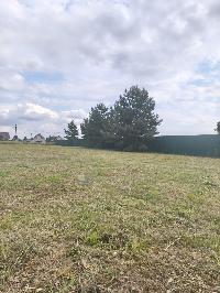 Участок 15.0  соток, Григорово д.