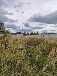 Участок 6.9  соток, Гжель п.