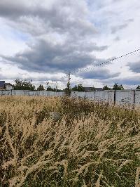Участок 6.9  соток, Гжель п.