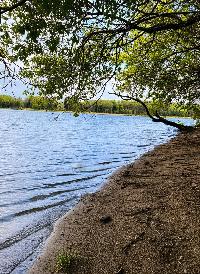 Дом 366.0  м2, Тимофеево д.