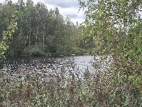 Дом 122.8  м2, Локомотив-3 тер. СНТ