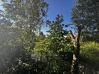 Участок 8.0  соток, Могутово д.