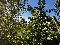 Участок 8.0  соток, Могутово д.