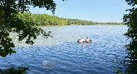 Дом 175.0  м2, Белые пески тер. СНТ