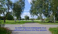 Дом 460.0  м2, Торпедо тер. СНТ