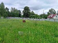 Участок 9.0  соток, Сальково д.