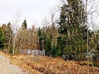 Участок 39.0  соток, Зеленоградский д.п.