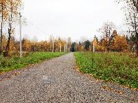 Участок 15.8  соток, Зеленоградский д.п.