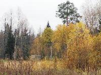 Участок 15.8  соток, Зеленоградский д.п.