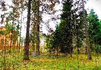 Участок 50.0  соток, Красногорск г.