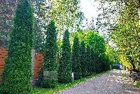 Участок 50.0  соток, Красногорск г.