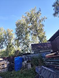 Участок 15.0  соток, Синьково с.