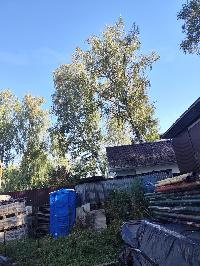 Участок 15.0  соток, Синьково с.