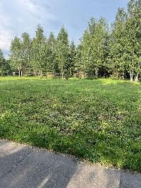 Участок 15.1  соток, Сальково д.
