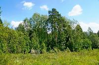 Участок 18.3  соток, Зеленоградский д.п.