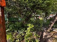 Участок 6.0  соток, Лапшинка д.