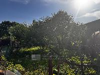 Участок 6.0  соток, Лапшинка д.